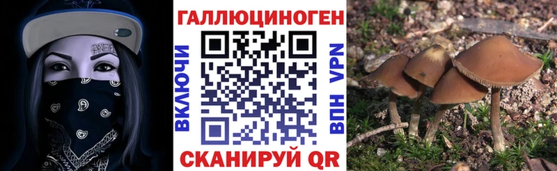 сайты даркнета Telegram  Одинцово  Галлюциногенные грибы мицелий 